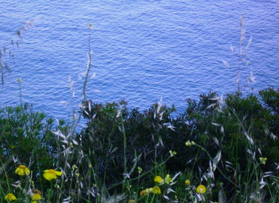 Uno scorcio di mare lungo la strada Villasimius - Costa Rey