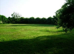 vista del giardino    